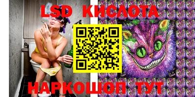 мяу мяу мука Кулебаки