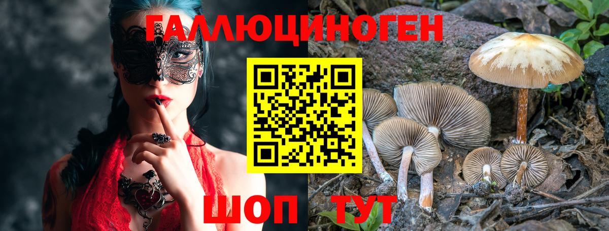 Галлюциногенные грибы прущие грибы Калуга