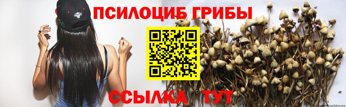 Псилоцибиновые грибы прущие грибы  Вход с VPN  Калуга 